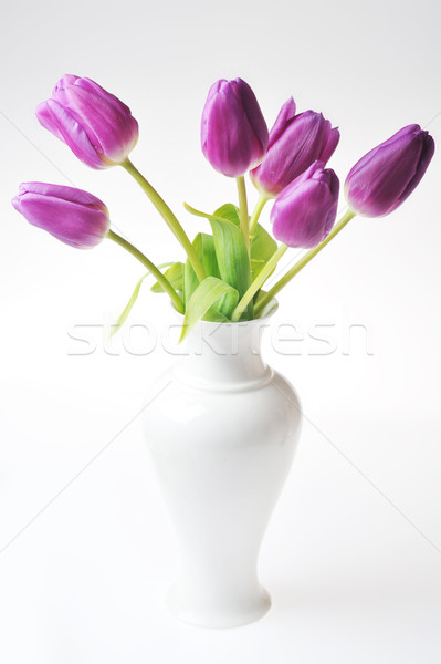 Tulipes vase bouquet beaucoup violette Photo stock © taden