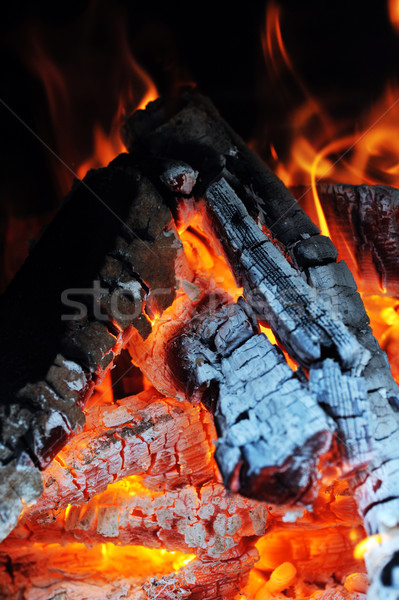 Burning down fire Stock photo © taden