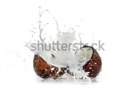 Crapat nucă de cocos mare stropire apă fruct Imagine de stoc © taden