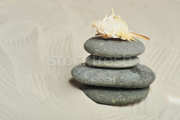 cockleshell and stones  Stock photo © taden