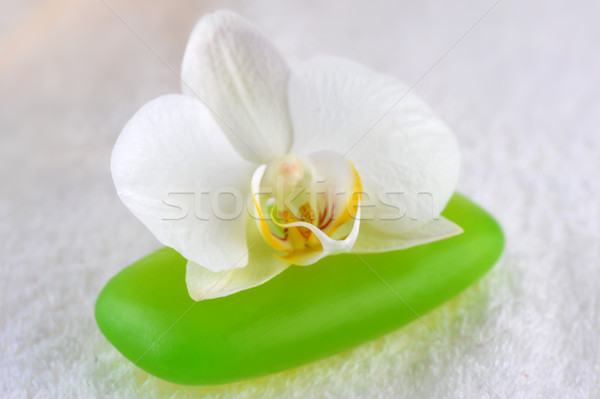 Foto stock: Verde · sabão · orquídea · flor · menina