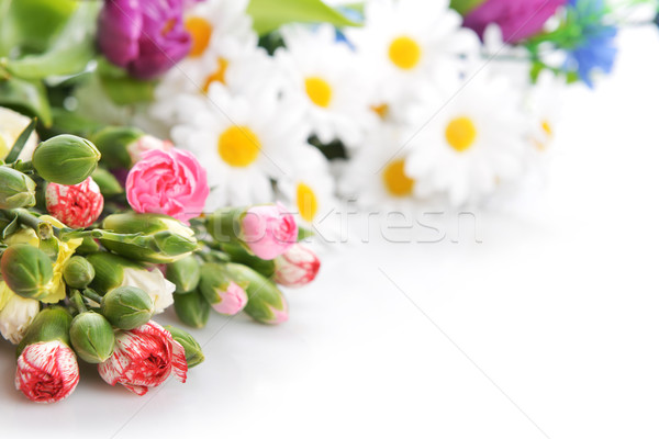 Foto d'archivio: Bouquet · fiori · colorato · garofano · altro