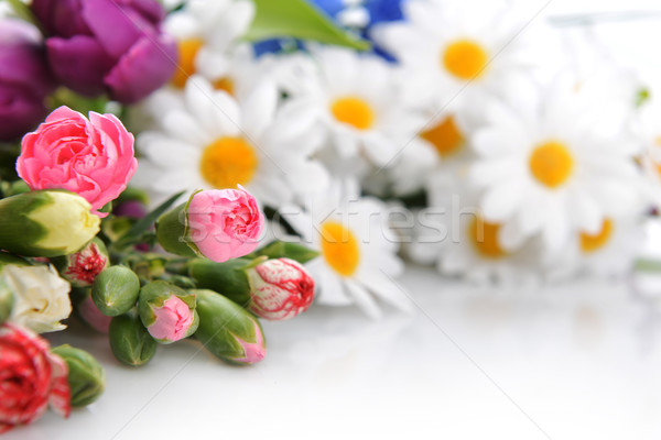 Bouquet fleurs coloré œillet autre [[stock_photo]] © taden