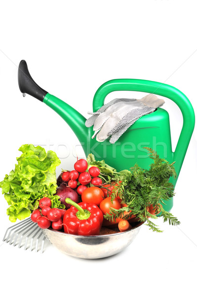 [[stock_photo]]: Arrosoir · légumes · vert · légumes · frais · eau · fruits