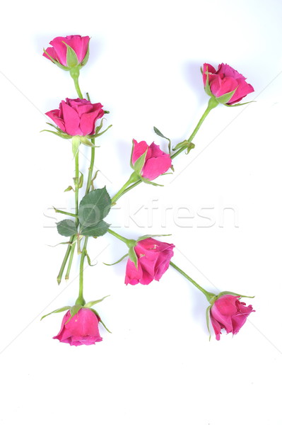 letter K Stock photo © taden
