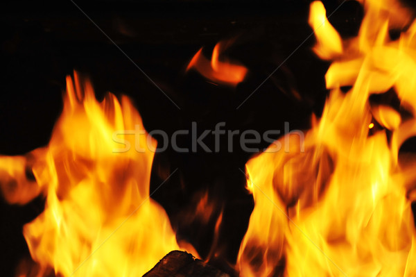 Hellen Flamme Feuer dunkel abstrakten Natur Stock foto © taden