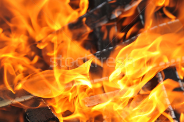 Burning down fire Stock photo © taden