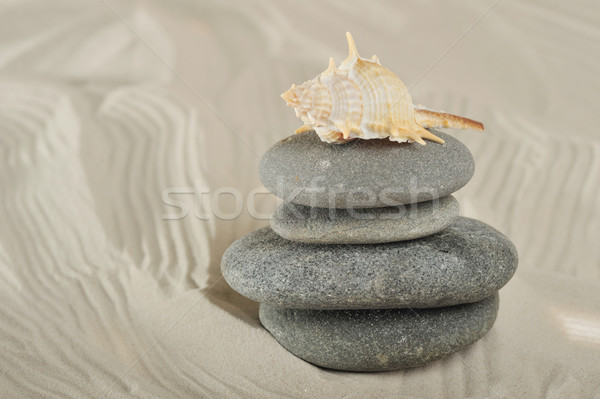 cockleshell and stones  Stock photo © taden