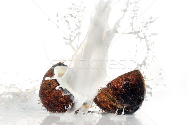 Fissuré coco grand Splash isolé eau [[stock_photo]] © taden