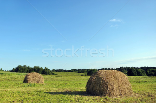 Meule de foin prairie été paysage campagne ciel [[stock_photo]] © taden