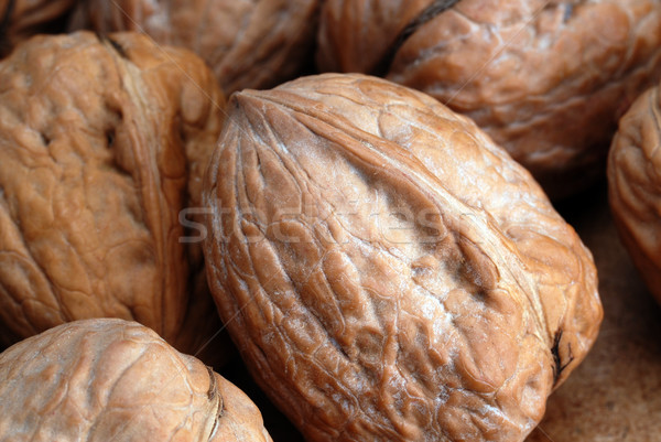 Shell vegetali mangiare alimentare pattern vendita Foto d'archivio © taden