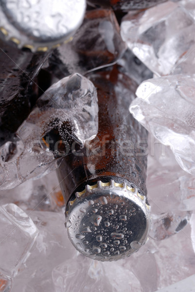 Brun bouteilles bière verre chute cool [[stock_photo]] © taden