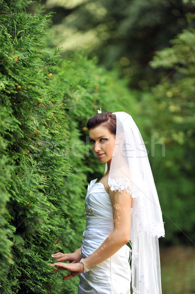 Schönen Braut jungen Fuß Bürgersteig grünen Stock foto © taden