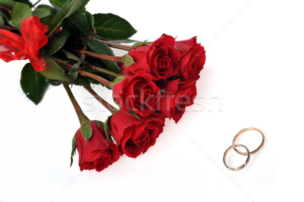 Rote Rosen Ring isoliert weiß Blume Blatt Stock foto © taden