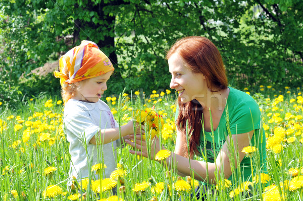 Foto stock: Mãe · filha · florescimento · campo · mulher · flor