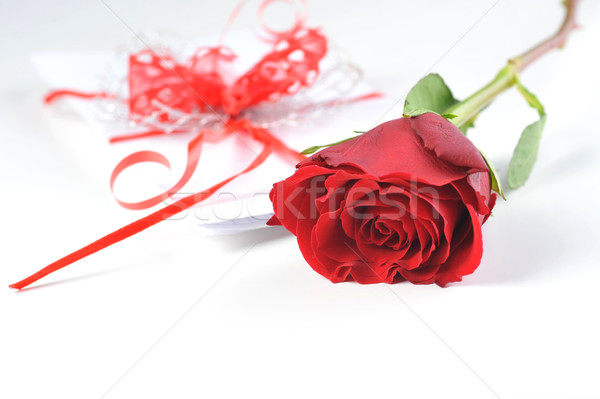  rose and letter Stock photo © taden