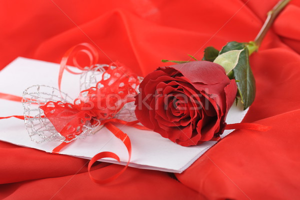  rose and letter Stock photo © taden