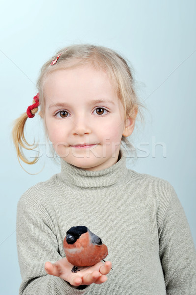 little girl and bullfinch Stock photo © taden