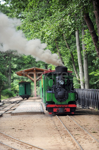 古い 小 緑 煙 列車 ストックフォト © taden