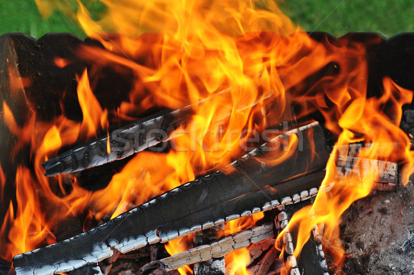 Burning down fire Stock photo © taden