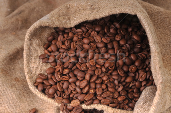 Coffee grains Stock photo © taden