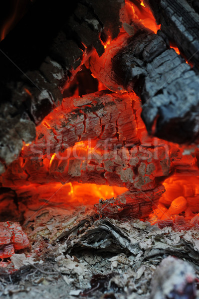 Burning down fire Stock photo © taden