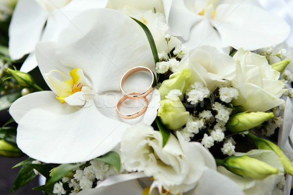 orchids and wedding rings Stock photo © taden