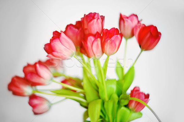 [[stock_photo]]: Rouge · tulipes · bouquet · beaucoup · verre · vase