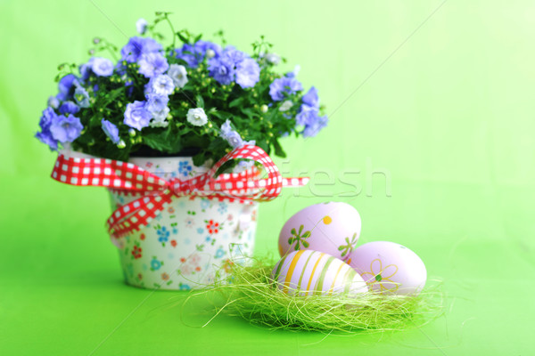 Easter Eggs niebieski kwiaty zielone tle piękna Zdjęcia stock © taden