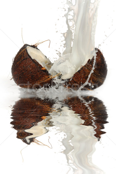 Foto d'archivio: Screpolato · cocco · grande · splash · isolato · acqua