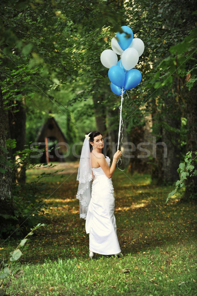 beautiful  bride Stock photo © taden