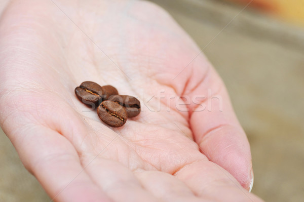 Kaffeebohnen Hände halten Kaffee Stock foto © taden