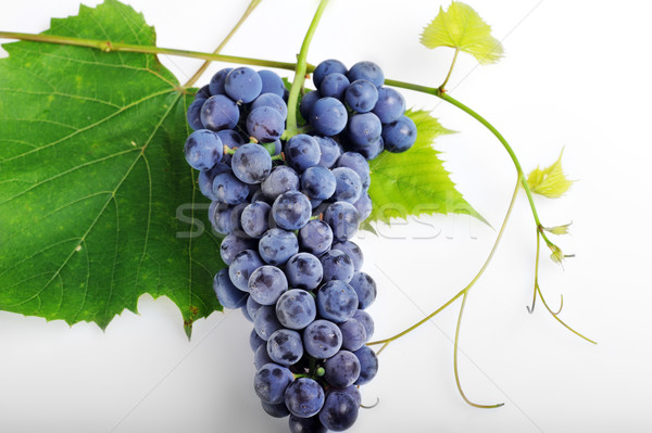 cluster fresh grape Stock photo © taden