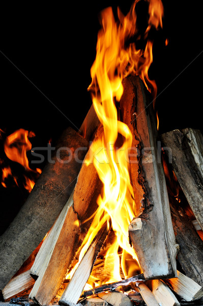 Bright flame Stock photo © taden