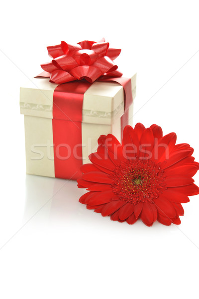 Ajándék doboz piros fehér selyem virág Stock fotó © taden