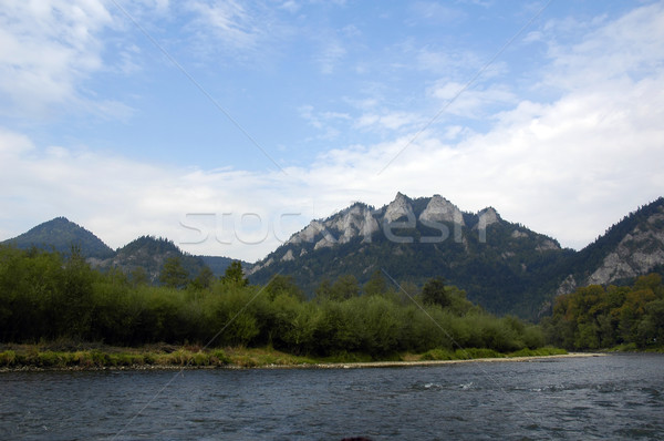 Rivier bergen snel berg hemel vis Stockfoto © taden