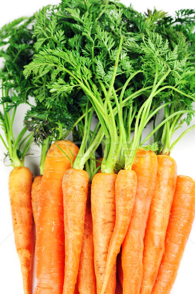 Karotten Blätter Haufen frischen weiß Essen Stock foto © taden