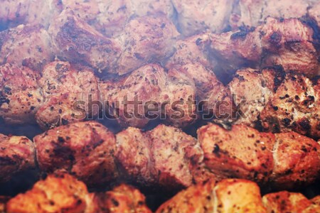 Foto d'archivio: Kebab · natura · estate · alimentare · party