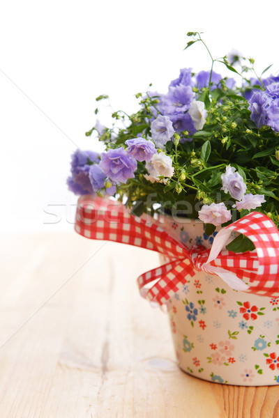 Kwiaty niebieski doniczka piękna bukiet dekoracji Zdjęcia stock © taden