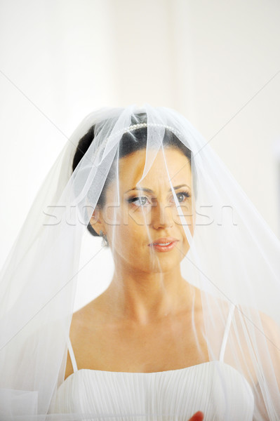 портрет красивой невеста студию свадьба Сток-фото © taden