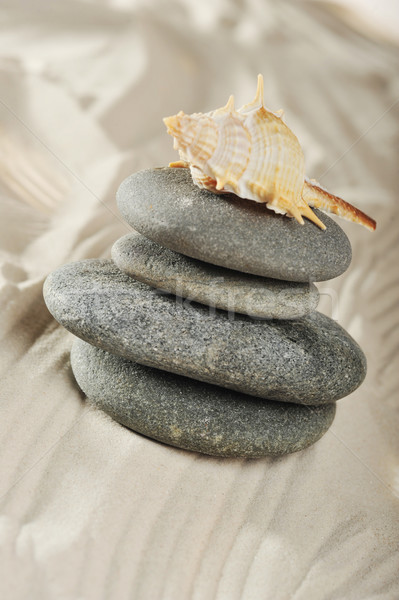 cockleshell and stones  Stock photo © taden