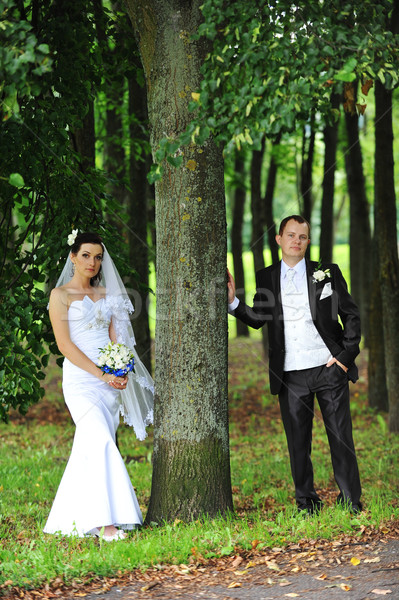 Bruidegom bruid witte jurk groene bomen bloem Stockfoto © taden