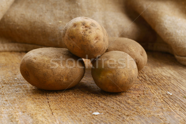 Harvest potatoes Stock photo © taden
