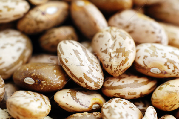 medley beans close up  Stock photo © taden