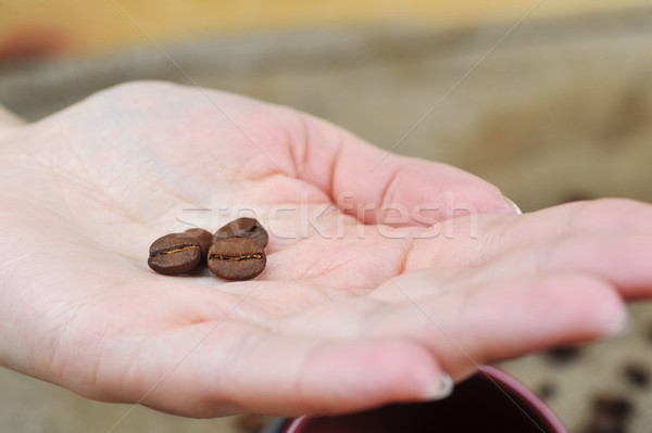 Kaffeebohnen Hände halten Kaffee Stock foto © taden