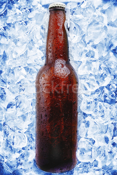 Sörösüveg barna jég vödör kondenzáció sör Stock fotó © taden