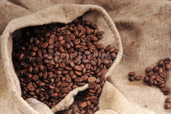 Coffee grains Stock photo © taden