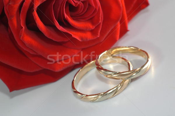 Rose Red anneaux mariage coeur mariage [[stock_photo]] © taden