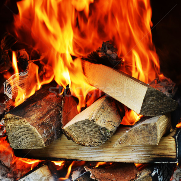 Feu cheminée bois résumé nature [[stock_photo]] © taden