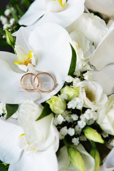 orchids and wedding rings Stock photo © taden